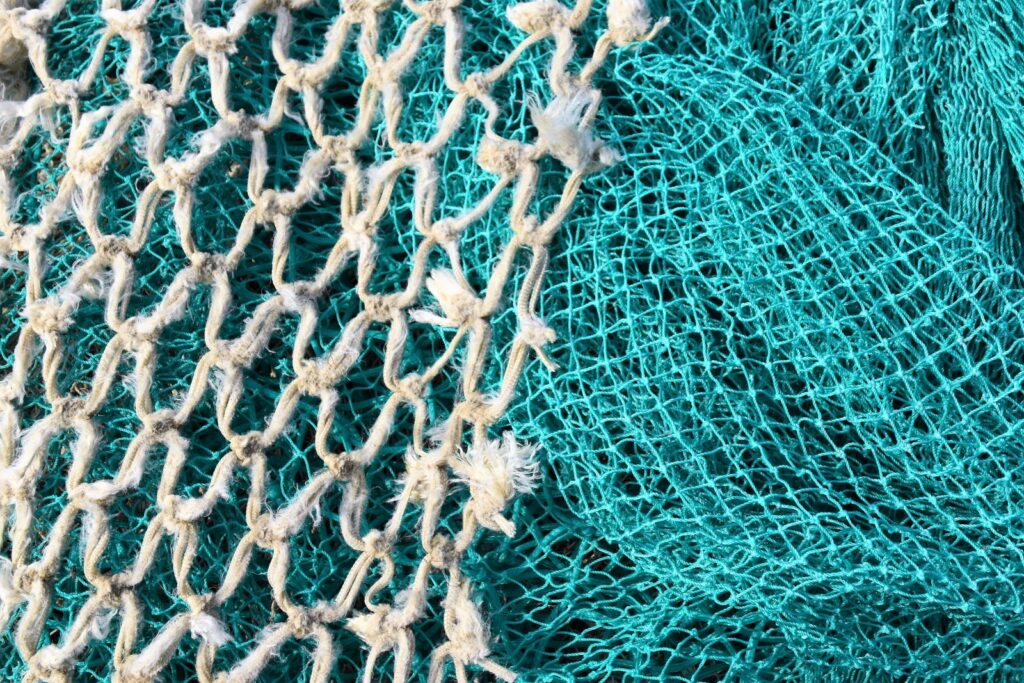 white and blue net